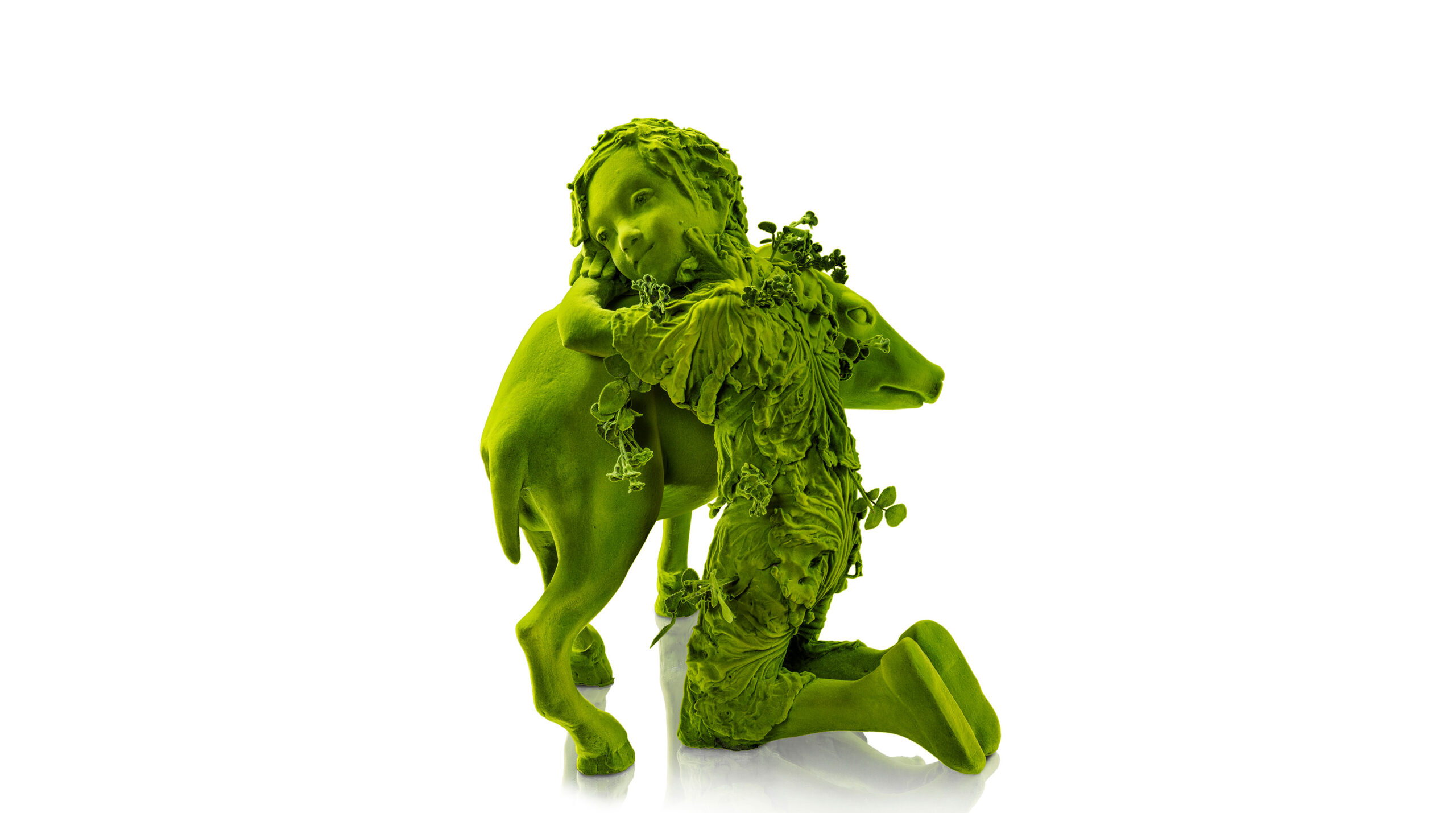 Voir la fiche de l'artiste The Moss People exploring the world of art !